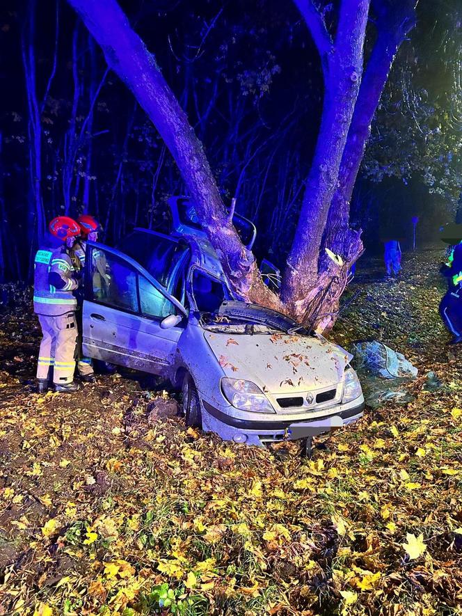 Poważny wypadek w Toruniu. Tak wyglądało auto po uderzeniu w drzewo