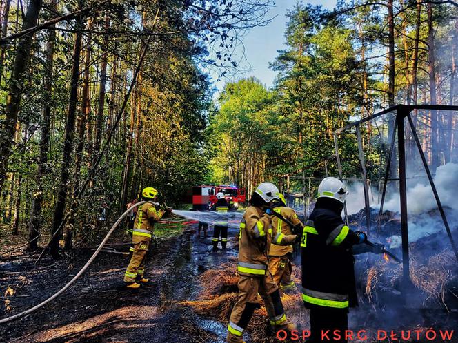  W środku lasu spłonął traktor z transportem siana