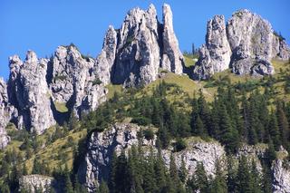 Województwo nowosądeckie. Prawie połowę jego obszaru zajmowały lasy