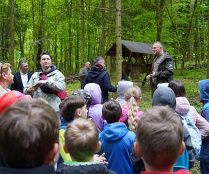 Nowa atrakcja w Małopolsce. Audioprzewodnik leśny turystycznym hitem!