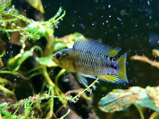 Rozmawiamy z Tomaszem Wiśniewskim, założycielem Aqua Dreams Bydgoszcz