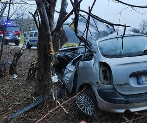 Tragiczny wypadek w Zrąbie w pow. zamojskim. Auto roztrzaskało się na drzewie