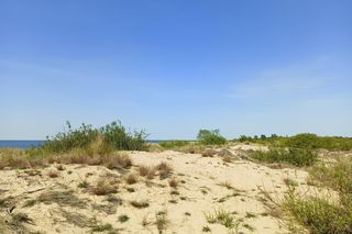 Rezerwat Mewia Łacha