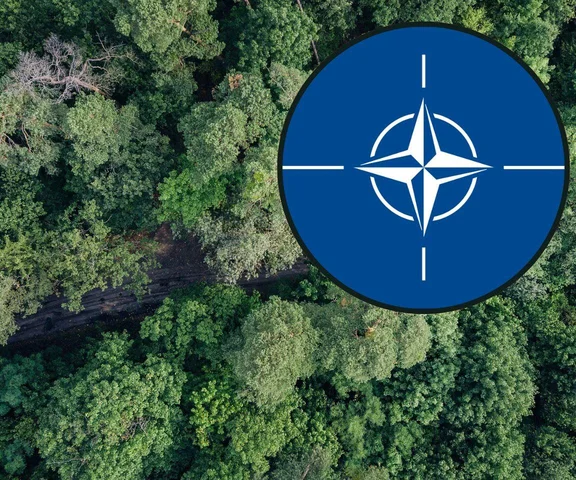 Polska wnioskuje o artykuł 4. NATO. Co to oznacza?