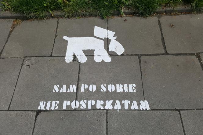 Napisy pojawiły się na chodnikach przy kilku ulicach na Chełmie