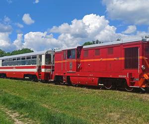 Ciuchcia Ponidzie atrakcją dla turystów w Świętokrzyskiem