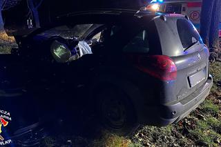Młody kierowca roztrzaskał się na drzewie! Wcześniej zginął tu jego brat [ZDJĘCIA]