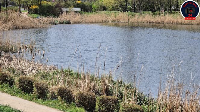 Makabryczne odkrycie w Warszawie: ciało w stawie przy pętli tramwajowej