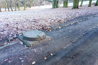 Aleja Fałata zostanie wyremontowana