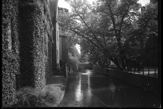 Gdańsk na starych fotografiach. Zdjęcia zrobiono 100 lat temu. Rozpoznajesz te miejsca? 