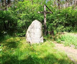 Leśny cmentarz rodu von Ramin
