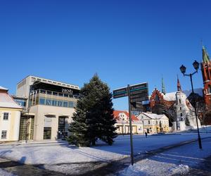 Choinka stanęła w centrum Białegostoku. 12-metrowa atrakcja gotowa na Boże Narodzenie