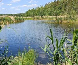 Jezioro Komosa obok miejscowości Krasne na Podlasiu