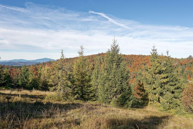 To miejsce w Małopolsce najpiękniej wygląda późną jesienią według AI. Ma status kultowego