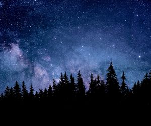 Katastroficzna przepowiednia dla znaków zodiaku. Stara Cyganka wieści: ten znak zodiaku w 2024 nie odnajdzie spokoju. Nieszczęście zakradnie się w nocy