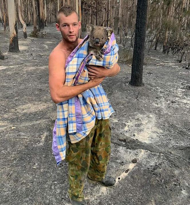 Ratują płonące koale!