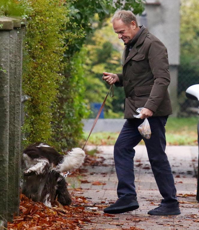 Donald Tusk na spacerze z Portosem