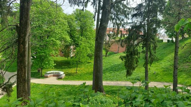 Zamość