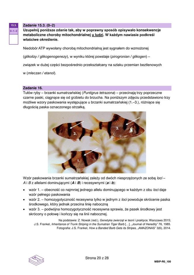 MATURA BIOLOGIA ROZSZERZONA FORMUŁA 2024