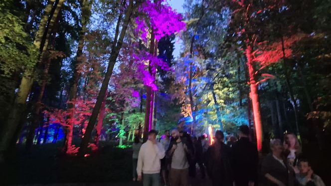 Olsztyn zamienił się w magiczną krainę. Park Świateł przyciągnął tłumy!