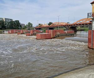 Mieszkańcy Wrocławia walczą z powodzią