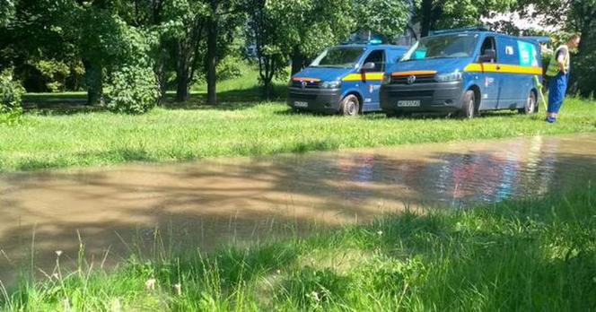 Park Skaryszewski pod wodą. Pękła rura wodociągowa