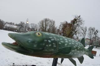 W Węgorzewie stanęły makiety rzeźb ryb [ZDJĘCIA]