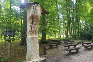 Leśne Arboretum Warmii i Mazur w Kudypach