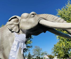 Odsłonięta figura słonia leśnego w Grodzisku Mazowieckim