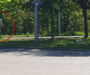 Ukradła i schowała się przed policją za drzewem