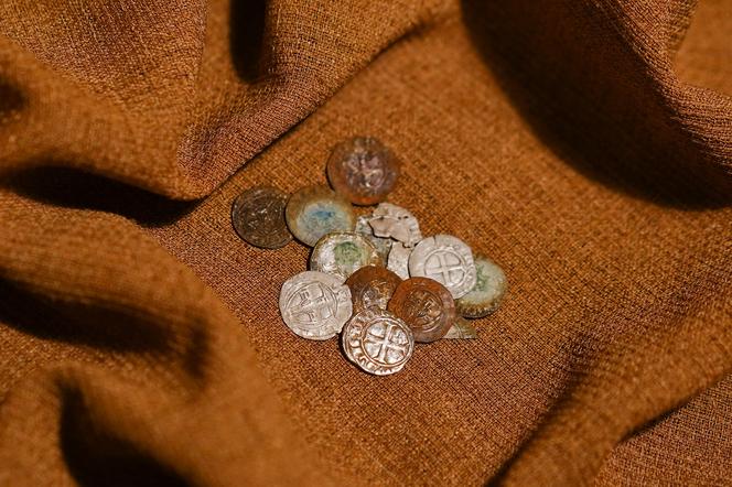 Krzyżacki skarb pod Warszawą. Monety trafiły pod opiekę specjalistów z Państwowego Muzeum Archeologicznego