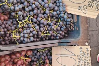 Winogrona na łódzkich targowiskach i w marketach. Sprawdź, ile kosztują [ZDJĘCIA]