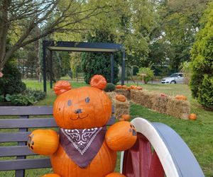 Jesienna atrakcja dla całej rodziny. Zabytkowa stacja w Rudach zaprasza na Pumpkin Express