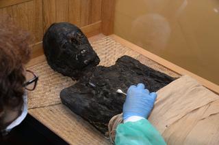 Egipska mumia sprzed TRZECH TYSIĘCY lat przeszła kompleksową diagnostykę w Krakowie!