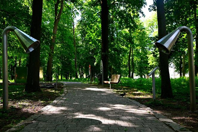 Ogród Saski w Sandomierzu cudownie wygląda wiosną! Zdjęcia