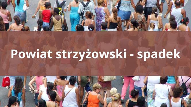 Powiat strzyżowski - spadek