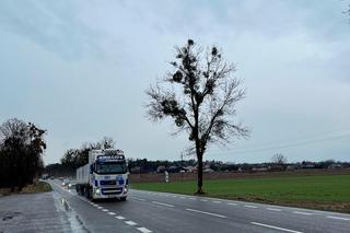 Łukasz zginął kilka minut po wyjściu z domu