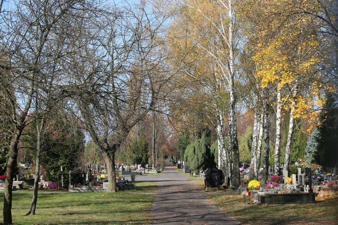 Wszystkich Świętych 2020. Przerażający widok z cmentarzy w Warszawie
