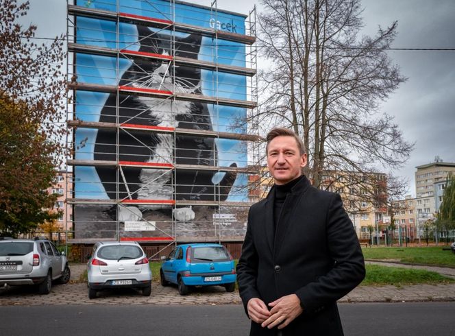 Na ul. Rugiańskiej powstaje mural z kotem Gackiem