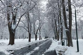 Zima w Zamościu. Śnieżna kołderka okryła miasto! Zobacz zdjęcia