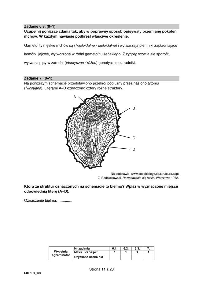 Matura 2024: biologia. Arkusze CKE i odpowiedzi. Poziom rozszerzony [Formuła 2015]