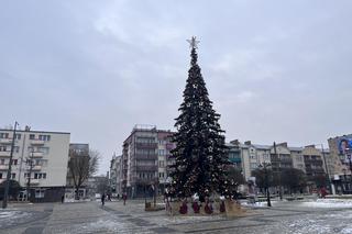 W centrum Gorzowa stanęła choinka! Jak wygląda?