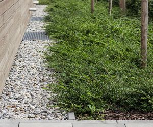 Nawierzchnia żwirowa