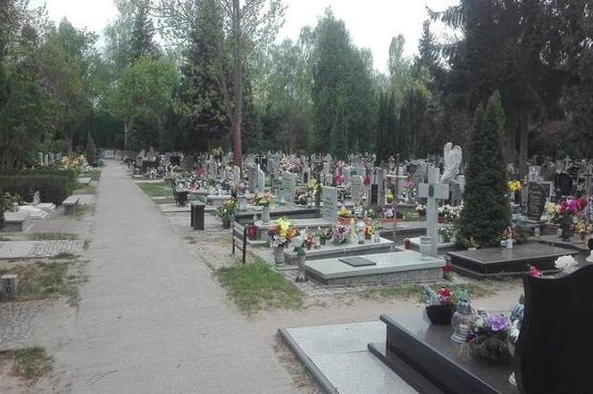 Hiena cmentarna na Śląsku. To, co 36-latek wyprawiał z krzyżami jest obrzydliwie
