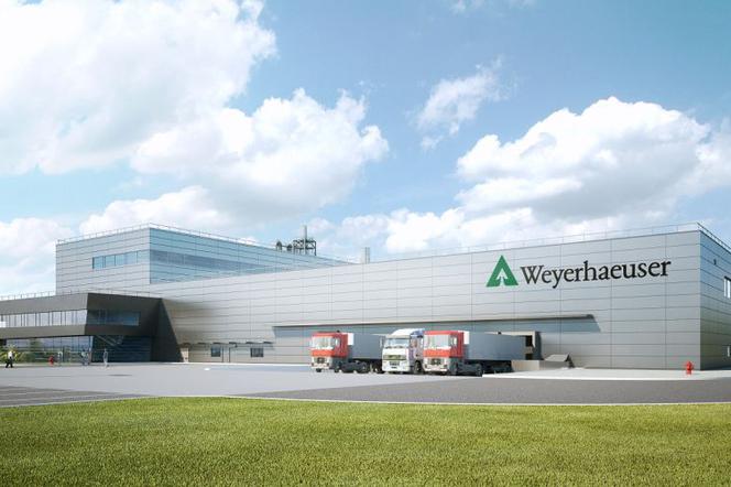 Fabryka amerykańskiego koncernu Weyerhaeuser: najnowocześniejszy taki obiekt na świecie