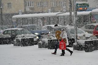Śnieżyce suną przez Polskę. Gdzie obowiązują alerty IMGW? [LISTA WOJEWÓDZTW] 