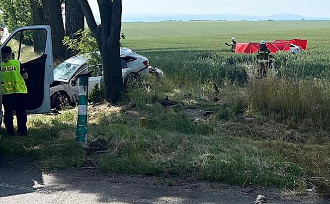 Śmiertelny wypadek na DK 38 pod Kędzierzynem-Koźlem. Policja ujawniła wstępną przyczynę tragedii [ZDJĘCIA].