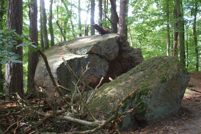 Na Roztoczu jest kamień energii, zaś w lasach Oliwskich - Kamień Diabelski