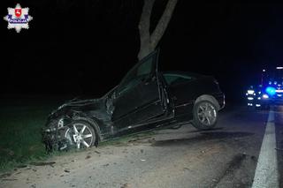 Śmiertelny wypadek na trasie Lublin-Lubartów. Chciał uniknąć zderzenia z sarną [ZDJĘCIA]