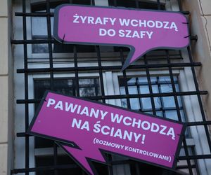 Tak było podczas lubelskiej Nocy Kultury 2025